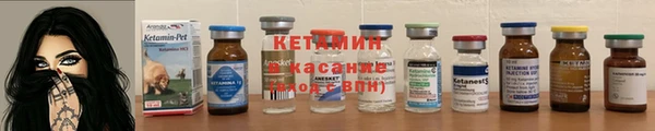 крисы Алексин