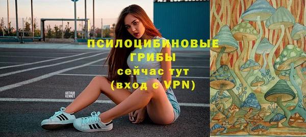 гашик Алексеевка