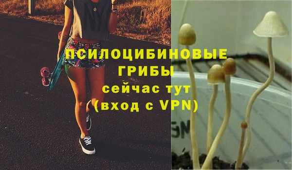 винт Алзамай