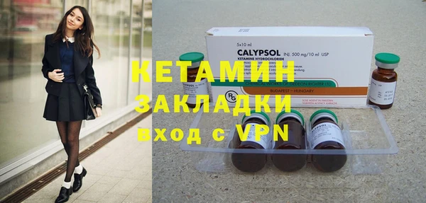 крисы Алексин
